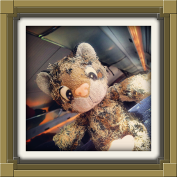 Junior in the train on his way to Gamescom 2012