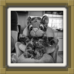 Junior's in his chair