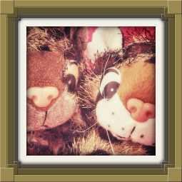 Junior and Juniorientje