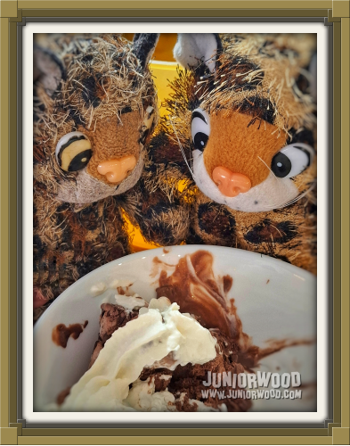 Juniorientje and Junior eating ice cream