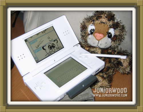 Junior drawing on Nintendo DS