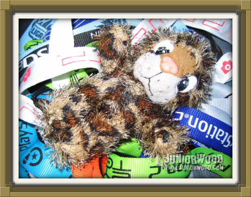 Lots of lanyards from the Games Convention