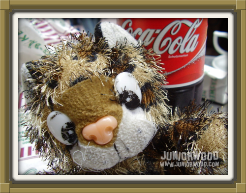 Junior next to a bottle of Coca Cola