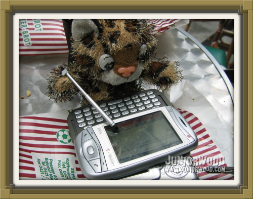 Junior writing his moblog on the secretary's PDA phone