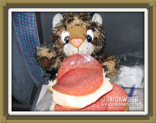Junior eating a salami sandwich