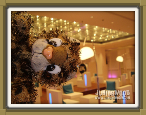 Junior in the EA Business Lounge at the Games Convention