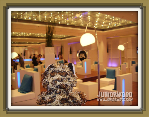 Follow Junior into the EA Business Lounge