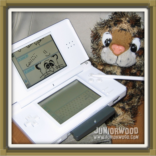 Junior drawing on Nintendo DS