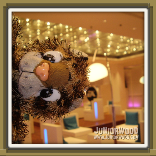 Junior in the EA Business Lounge at the Games Convention