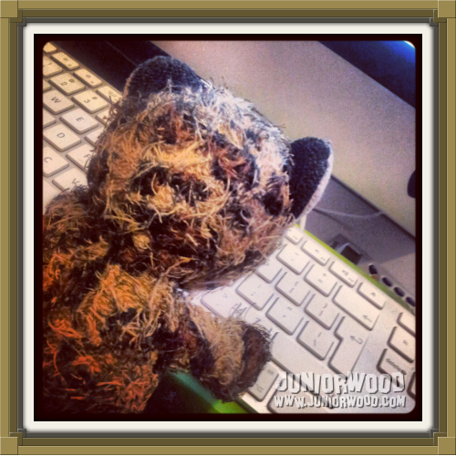 Junior hard at work at mommycat's iMac