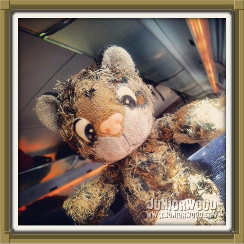 Junior in the train on his way to Gamescom 2012