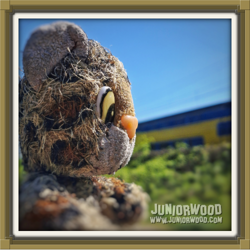 Junior trainspotting