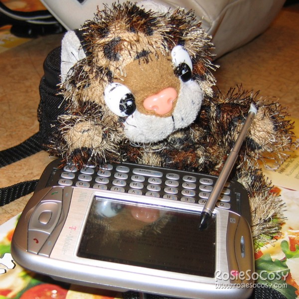 Junior typing on Mom Cat's PDA