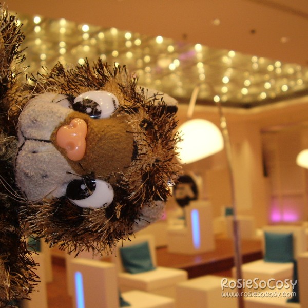 Junior in the EA Business Lounge at the Games Convention