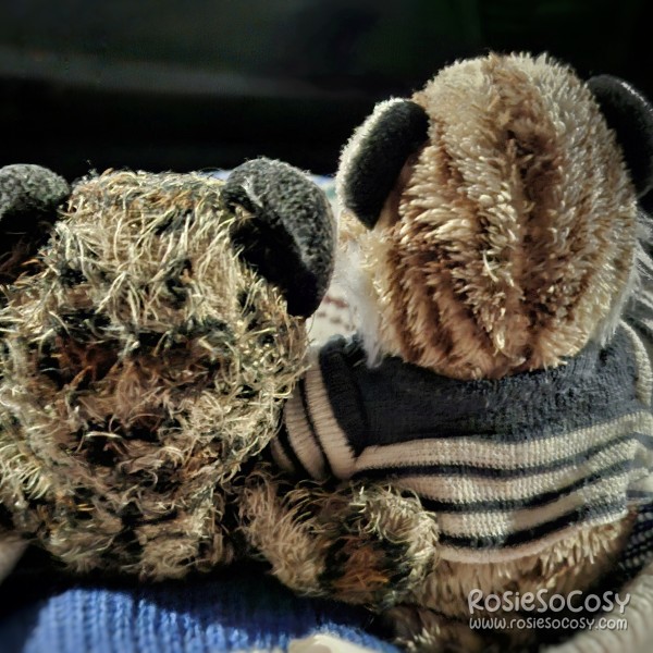 Junior and Tigris